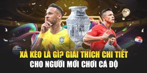 Xả Kèo Là Gì? Giải Thích Chi Tiết Cho Người Mới Chơi Cá Độ
